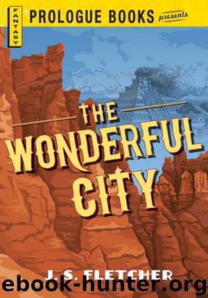 The Wonderful City by J. S. Fletcher