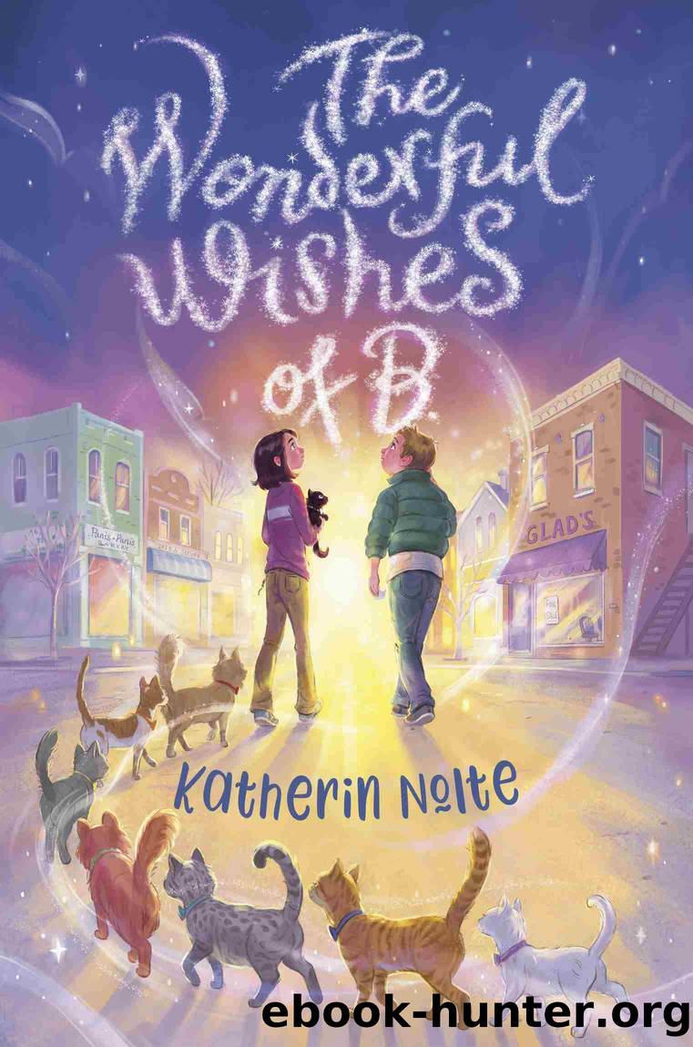The Wonderful Wishes of B. by Katherin Nolte