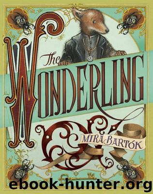 The Wonderling by Mira Bartók