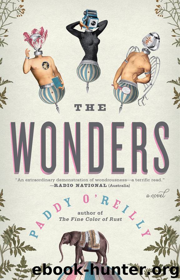 The Wonders by Paddy O’Reilly
