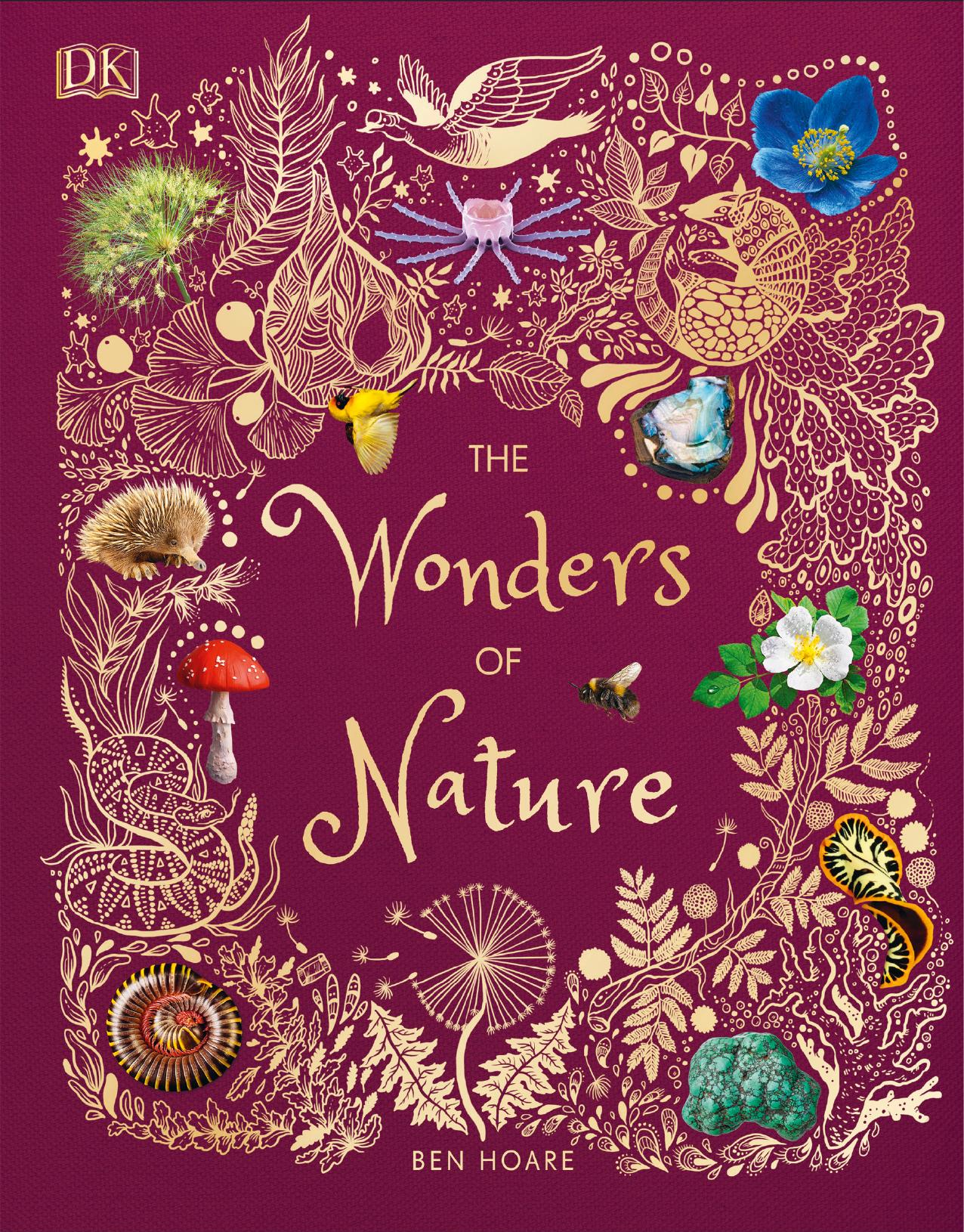 The Wonders of Nature by Unknown
