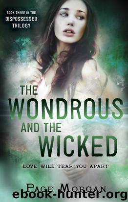 The Wondrous and the Wicked by Page Morgan