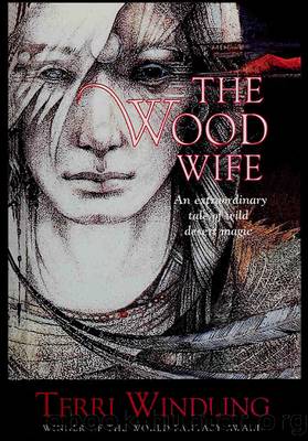 The Wood Wife [Brian Froud's Faerielands 03] by Terri Windling (author) Brian Froud (illustrator)