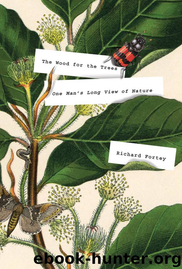 The Wood for the Trees by Richard Fortey