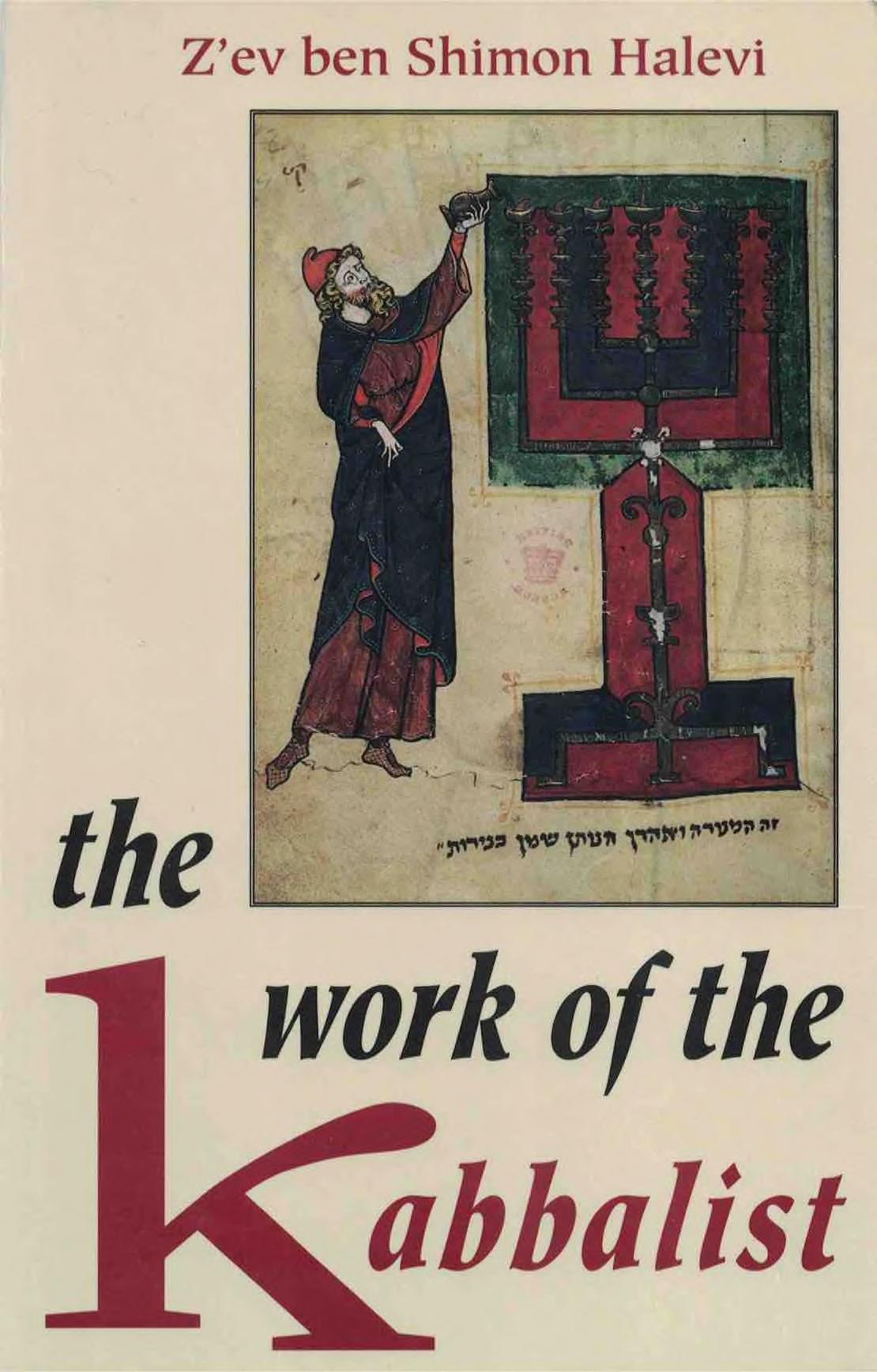 The Work of the Kabbalist by Z'ev ben Shimon Halevi