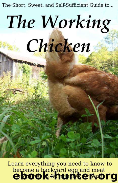 The Working Chicken: Learn everything you need to know to become a backyard egg and meat producer in 30 minutes or less! by Hess Anna