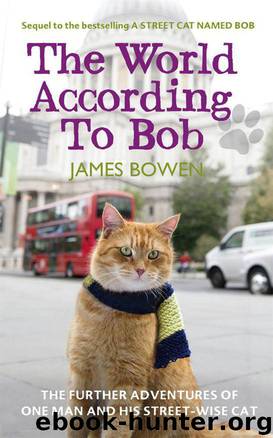 The World According to Bob: The Further Adventures of One Man and His Street-Wise Cat by James Bowen & Kristopher Milnes