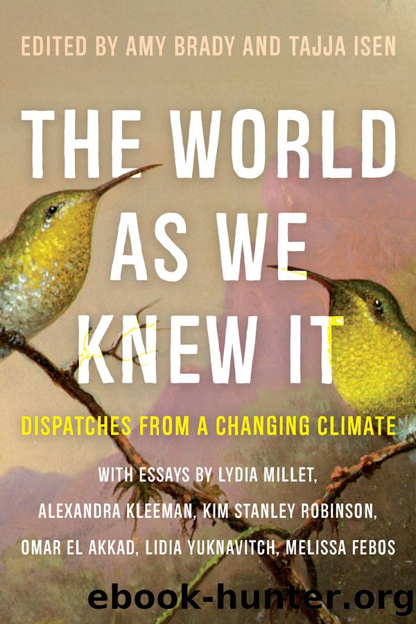 The World As We Knew It by Amy Brady