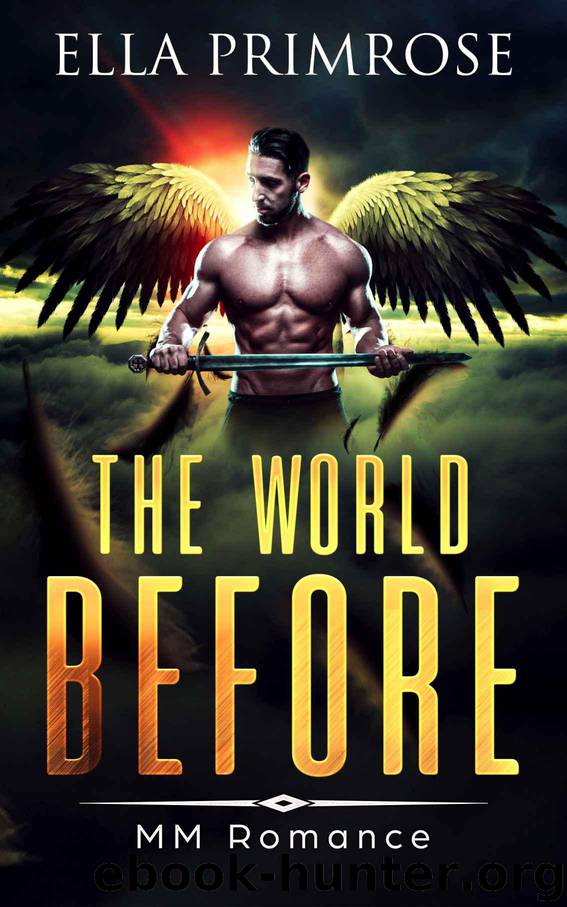 The World Before: MM Romance by Primrose Ella