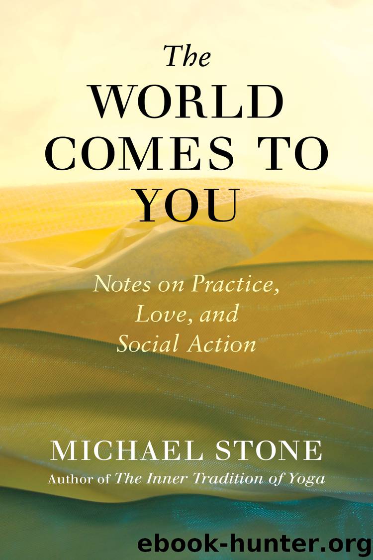 The World Comes to You by Michael Stone