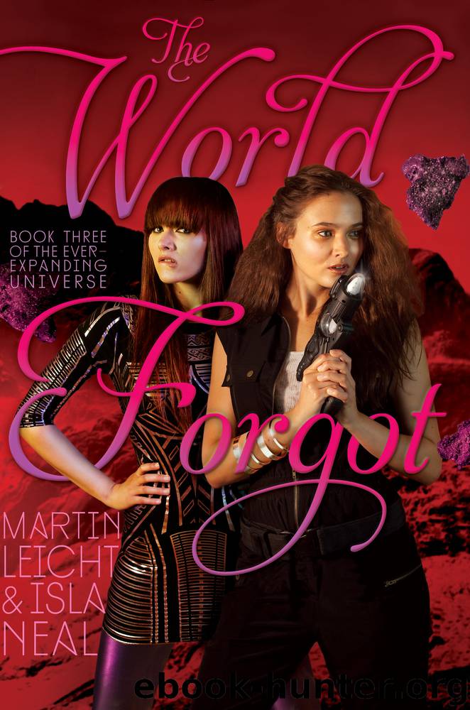 The World Forgot by Martin Leicht
