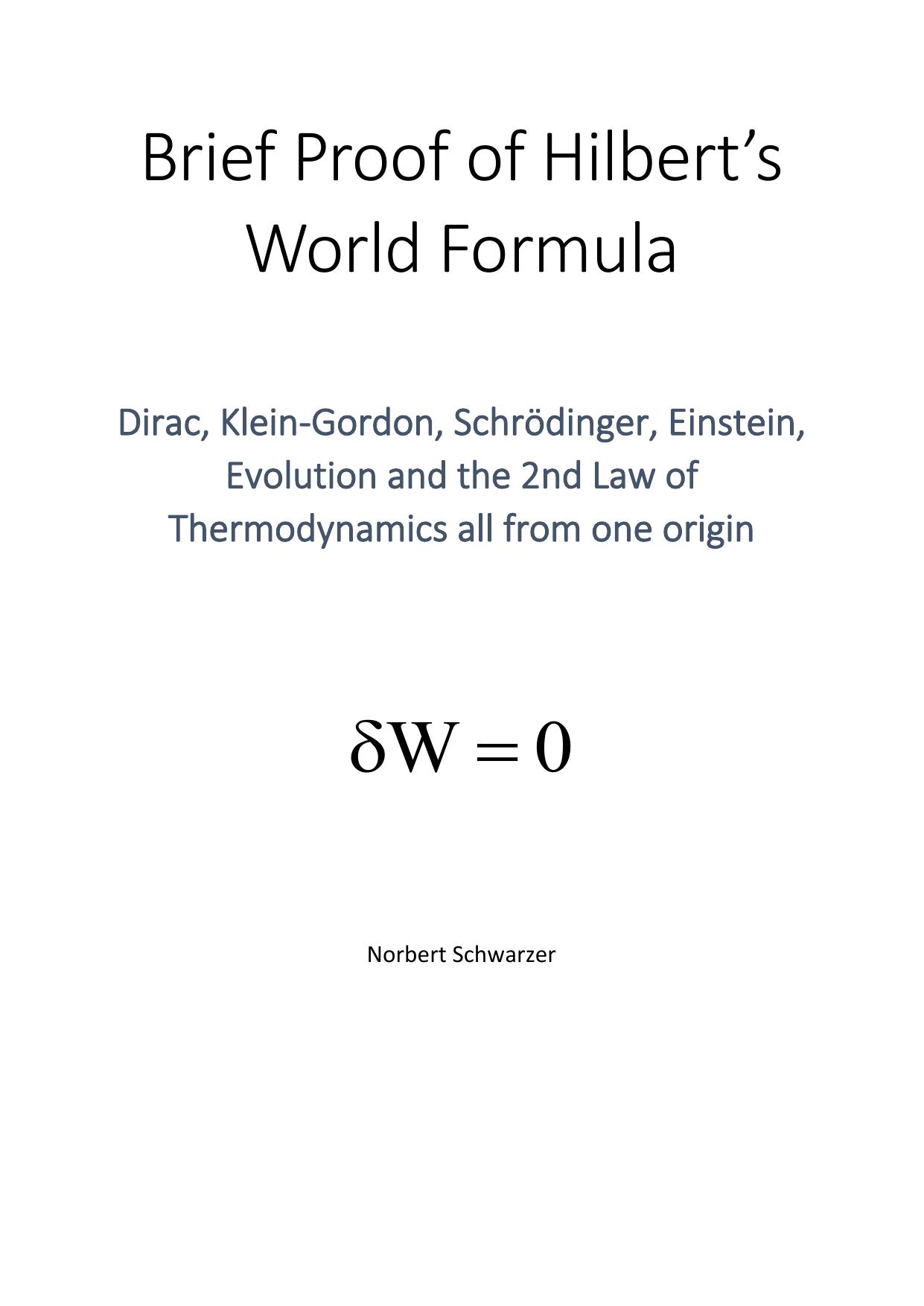 The World Formula: A Late Recognition of David Hilbertâs Stroke of Genius by Norbert Schwarzer
