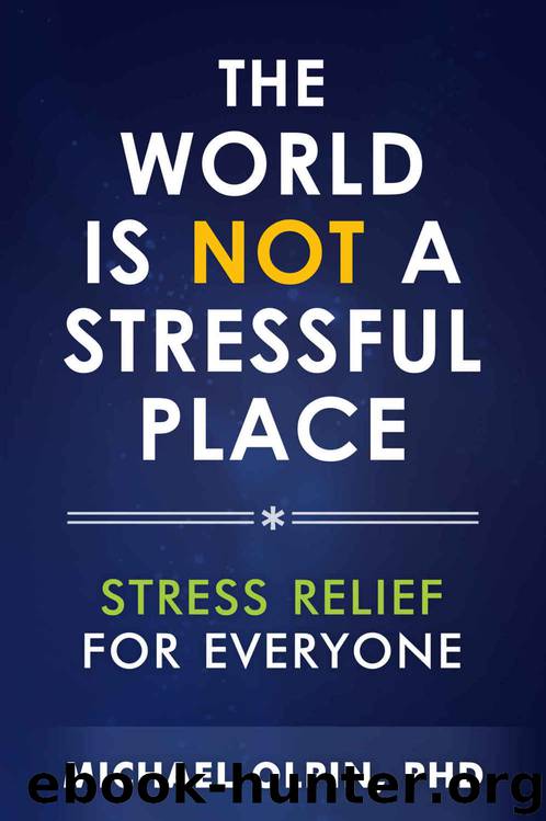 The World Is Not a Stressful Place: Stress Relief for Everyone by Michael Olpin PhD
