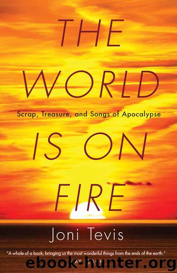 The World Is on Fire by Joni Tevis