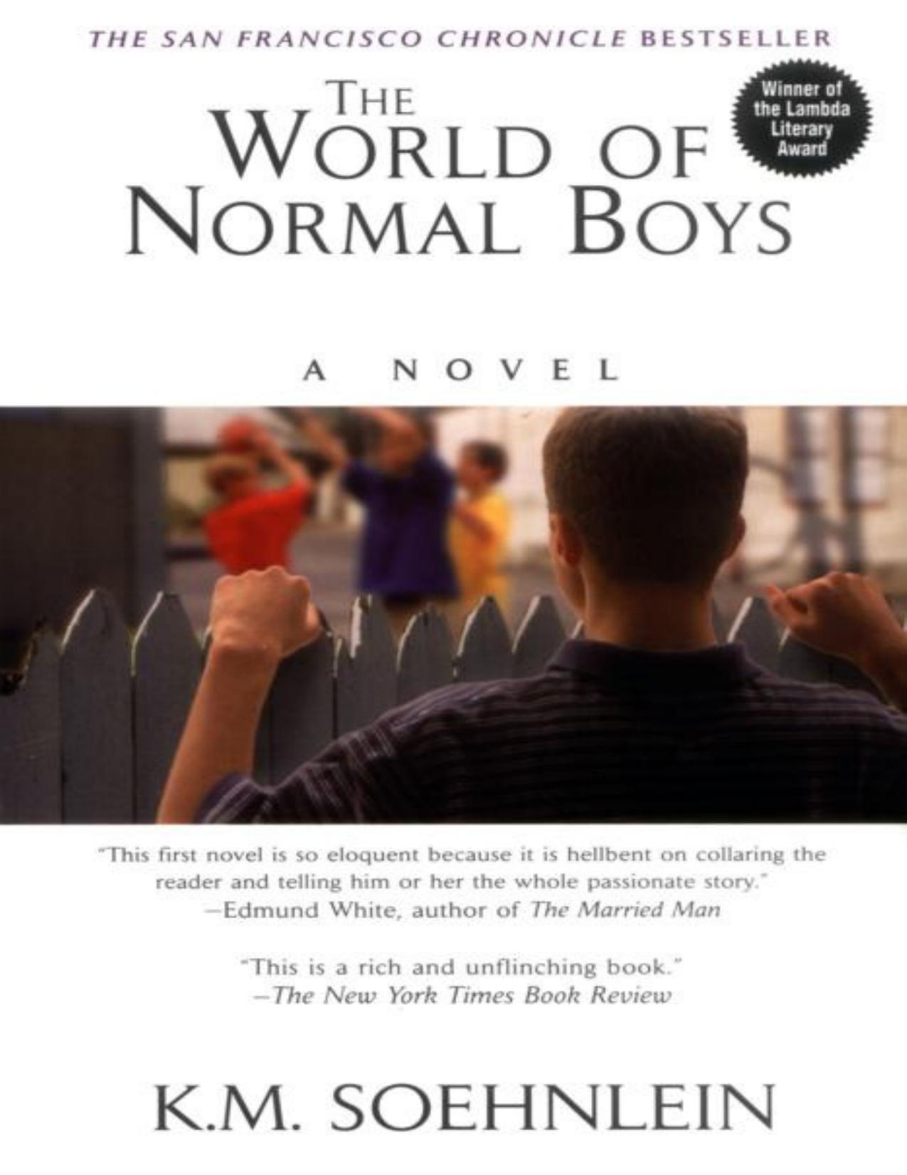 The World Of Normal Boys by K.M. Soehnlein