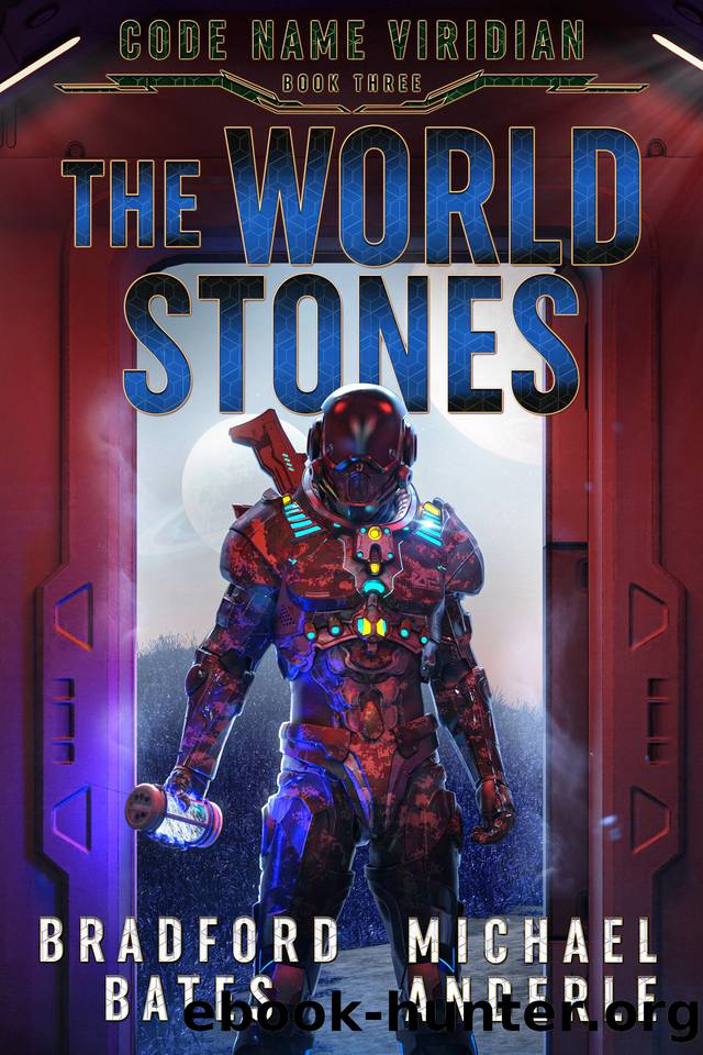 The World Stones by Bradford Bates & Michael Anderle