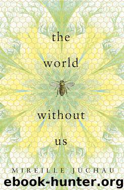 The World Without Us by Mireille Juchau