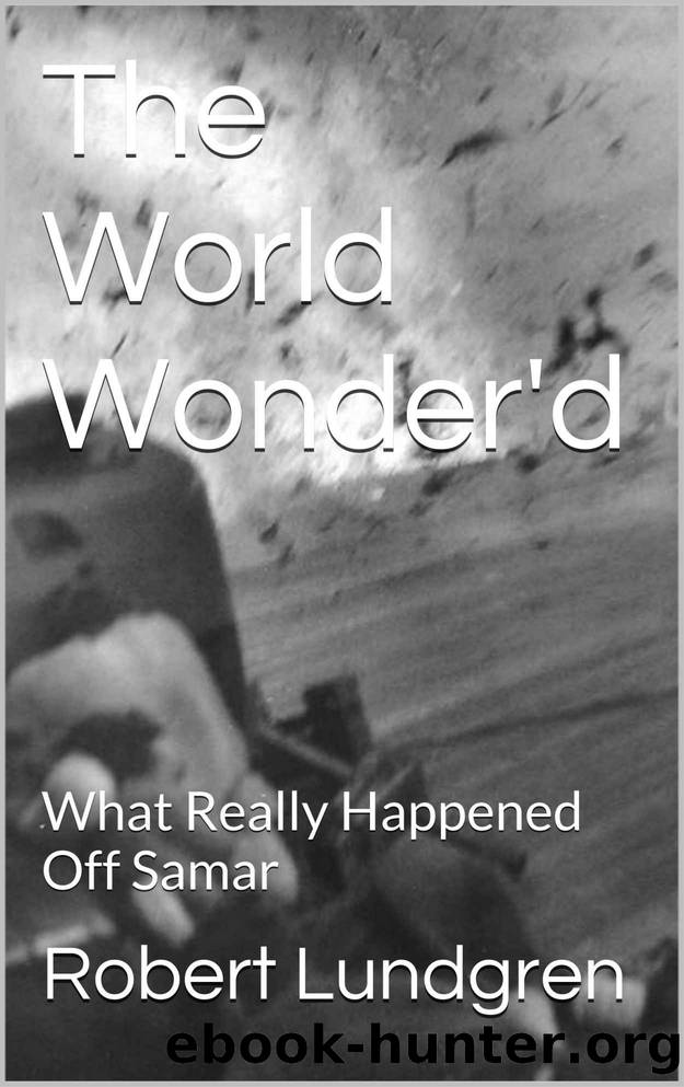 The World Wonder'd: What Really Happened Off Samar by Robert Lundgren