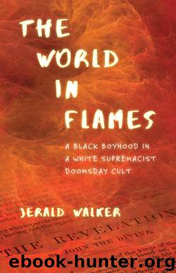 The World in Flames by Jerald Walker