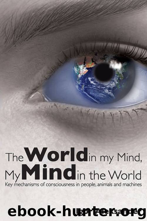 The World in My Mind, My Mind in the World by Igor Aleksander