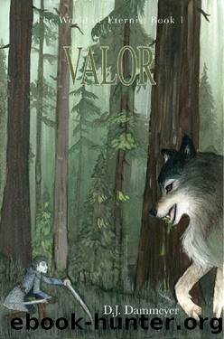 The World of Eternis: Book I: Valor by D.J. Dammeyer