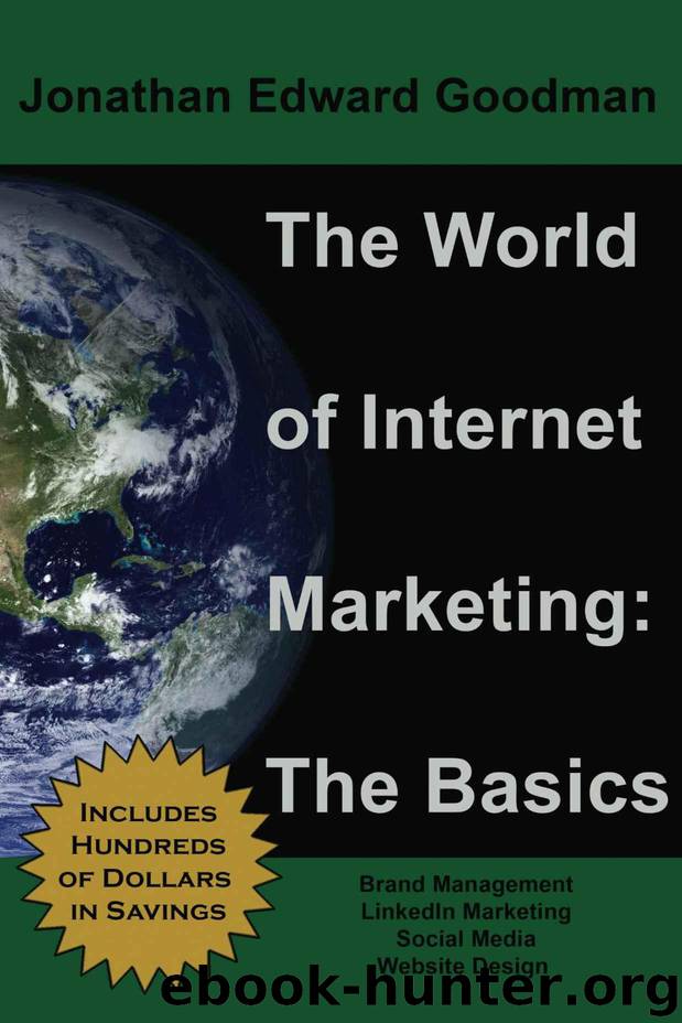 The World of Internet Marketing: The Basics by Goodman Jonathan