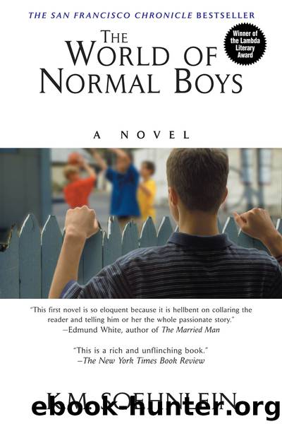 The World of Normal Boys by K.M. Soehnlein