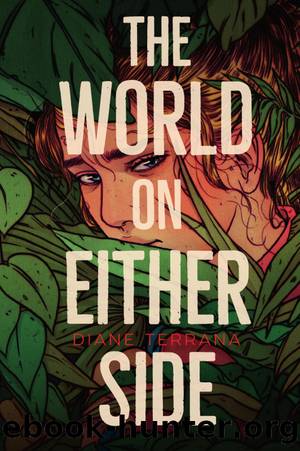 The World on Either Side by Diane Terrana