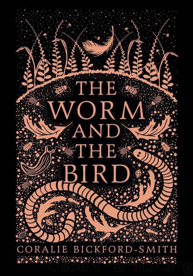 The Worm and the Bird by Bickford-Smith Coralie