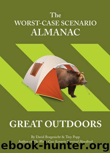 The Worst-Case Scenario Almanac: The Great Outdoors by Borgenicht David & Wagner Melissa