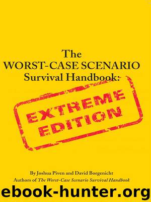 The Worst-Case Scenario Survival Handbook: Extreme Edition by David Borgenicht & Joshua Piven