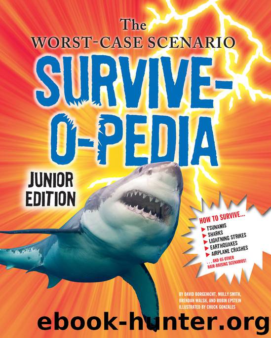 The Worst-Case Scenario Survive-o-pedia Junior Edition by David Borgenicht