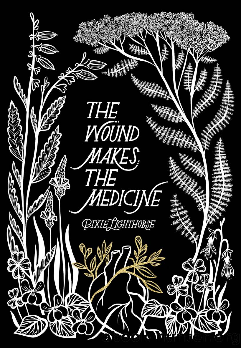 The Wound Makes the Medicine by Pixie Lighthorse