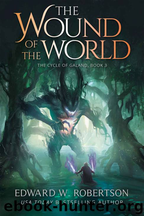 The Wound of the World by Edward W Robertson
