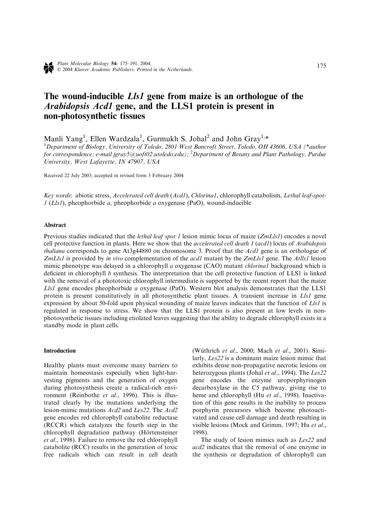 The Wound-Inducible <Emphasis Type="Italic">Lls1<Emphasis> Gene from Maize is an Orthologue of the <Emphasis Type="Italic">Arabidopsis Acd1<Emphasis> Gene, and the LLS1 Protein is by Unknown