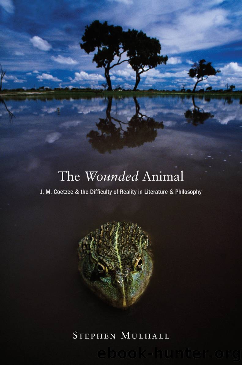 The Wounded Animal by Stephen Mulhall;