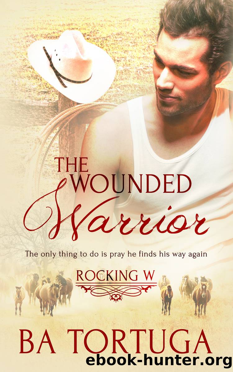 The Wounded Warrior by BA Tortuga