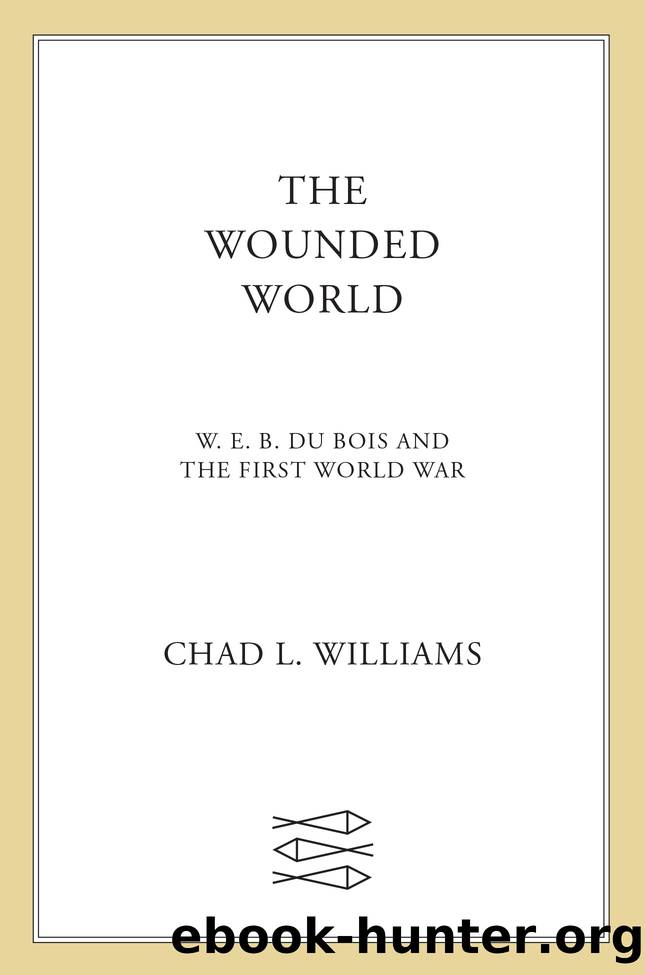 The Wounded World by Chad L. Williams