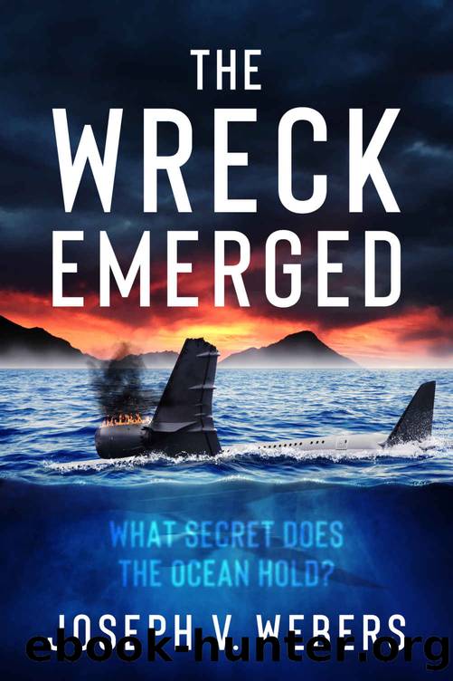 The Wreck Emerged by Joseph Webers