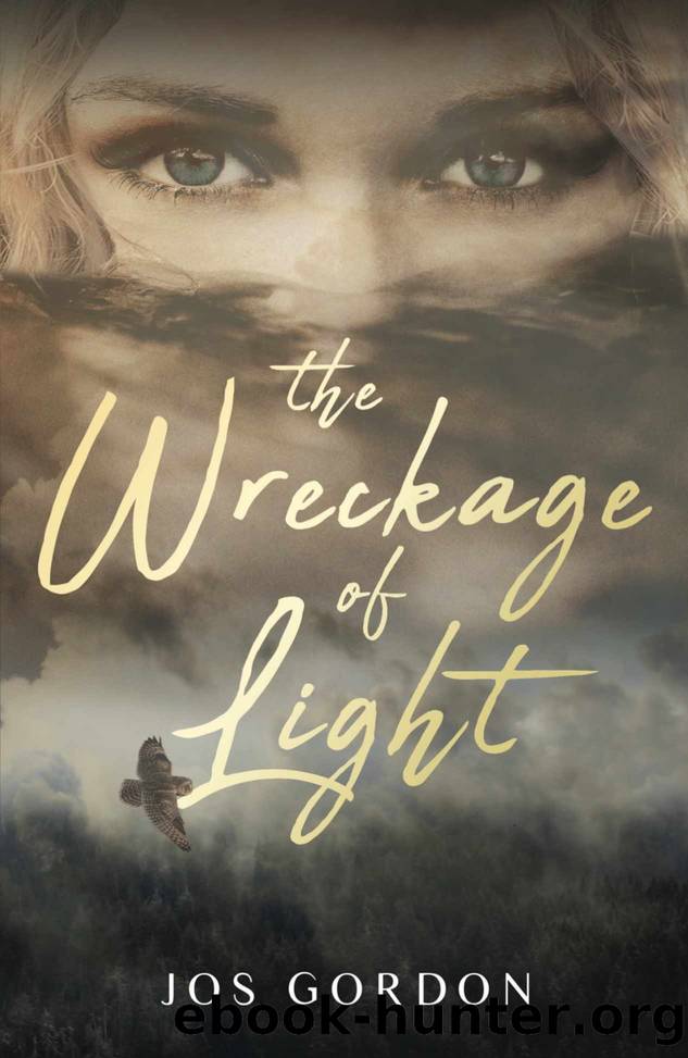 The Wreckage of Light: A Gothic Romance novel by Jos Gordon