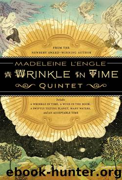 The Wrinkle in Time Quintet Boxed Set by Madeleine L'Engle