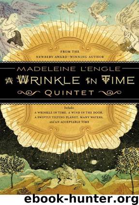 The Wrinkle in Time Quintet by Madeleine L'Engle