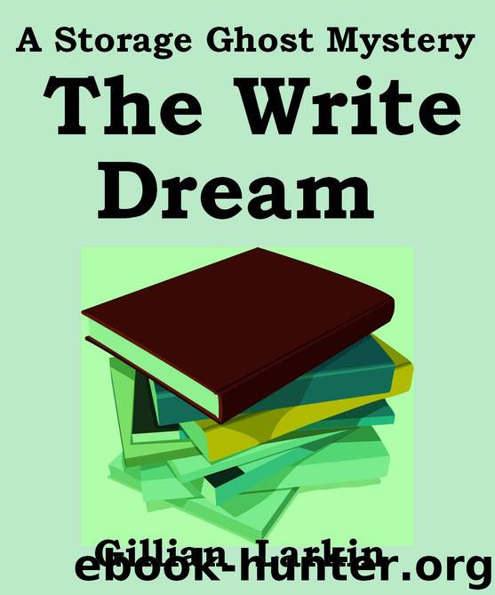 The Write Dream (Storage Ghosts) by Gillian Larkin