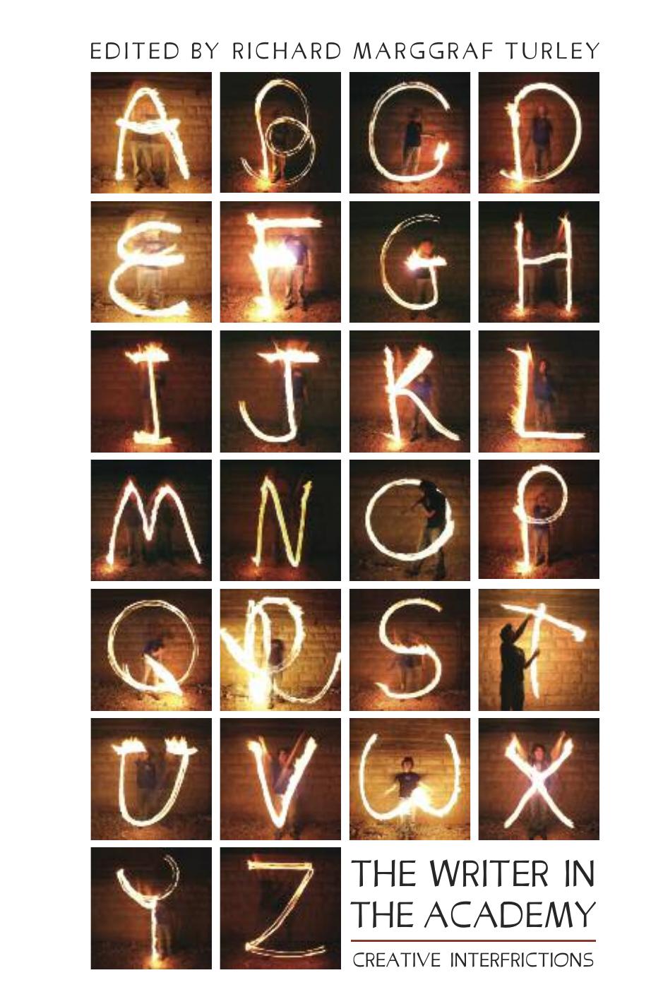 The Writer in the Academy: Creative Interfrictions by Richard Marggraf Turley (Editor)