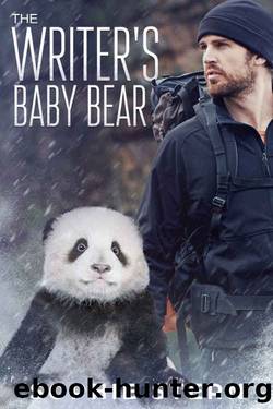 The Writer's Baby Bear by Sophie Stern