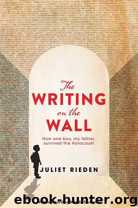 The Writing on the Wall by Juliet Rieden