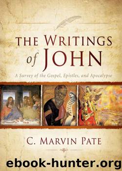The Writings of John by C. Marvin Pate