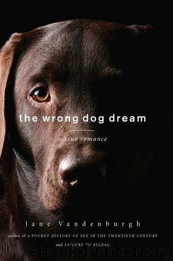 The Wrong Dog Dream by Jane Vandenburgh
