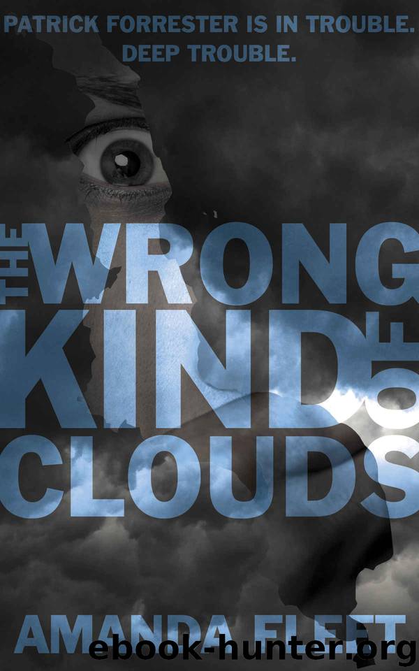 The Wrong Kind of Clouds by Amanda Fleet