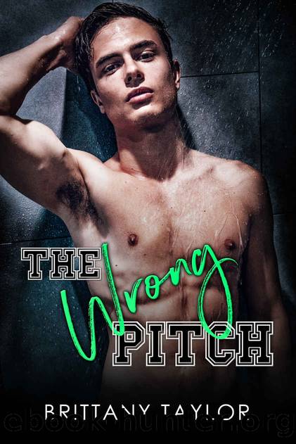 The Wrong Pitch: An Enemies-to-Lovers Roommate Sports Romance (Northeast Rebels) by Brittany Taylor